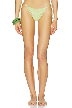 KIT 비키니 하의 DEVON WINDSOR