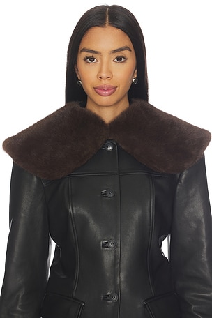 x Coco Dagna Collar EAVES