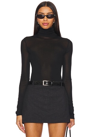 Alexander Sheer Turtleneck Sweater EAVES