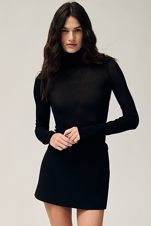 Alexander Sheer Turtleneck Sweater EAVES