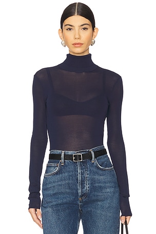 Alexander Sheer Turtleneck Sweater EAVES