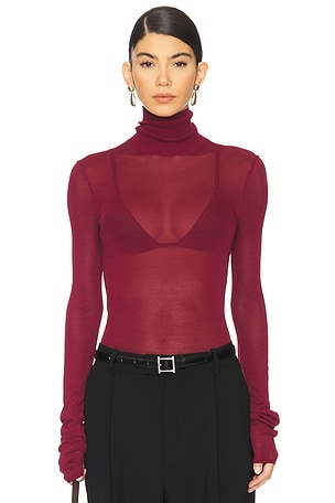 Alexander Sheer Turtleneck Sweater EAVES