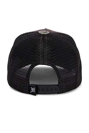 Ed Hardy Cobra Frame Hat in Black