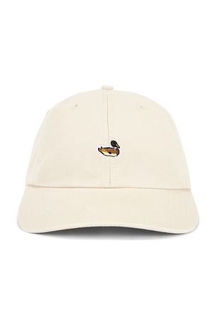 Duck Cap Edmmond Studios