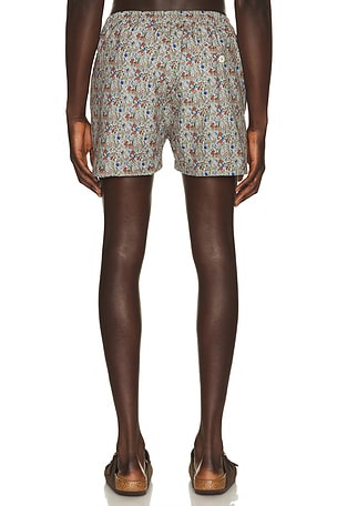 Edmmond Studios Wildlife Swim Shorts in Brown