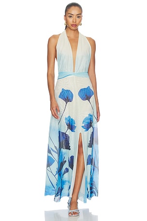 Micelia Long Dress Especia