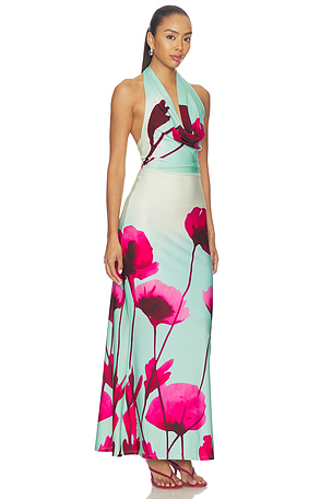 Especia Moonflower Gio Long Dress in Multi