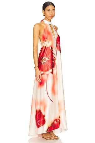 Especia Acidic Long Dress in Red