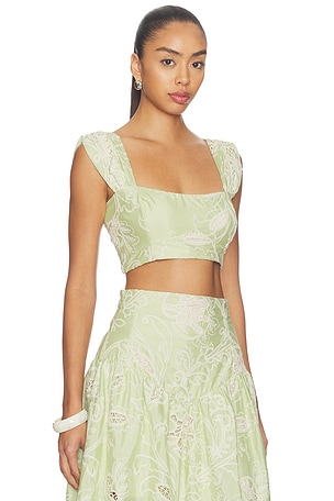 Especia Margarita Crop Top in Green