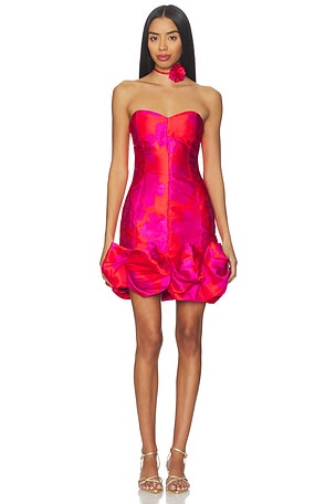 Eloise Mini Dress ELLIATT