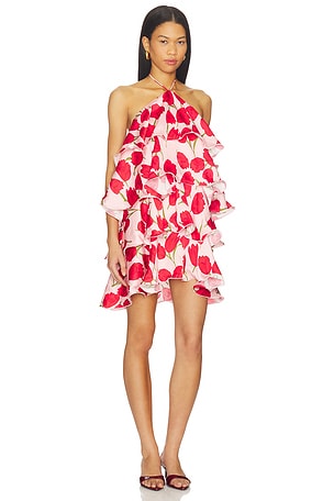 ELLIATT Melia Mini Dress in Pink