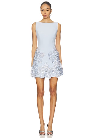 Skye Mini Dress ELLIATT