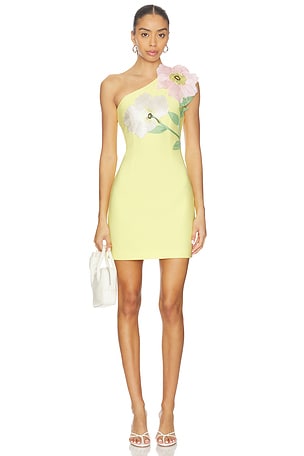 Hope Mini Dress ELLIATT