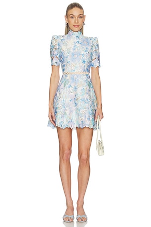 Kalissa A Line Mini Dress ELLIATT