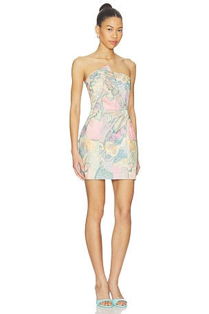 ELLIATT Taliah Asymmetical Mini Dress in Neutral,Blue