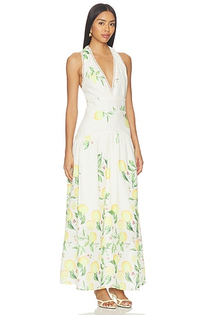 ELLIATT Hana Halter Gown in Neutral,Yellow