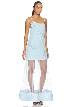 ELLIATT Reina 3d Floral Gown in Baby Blue