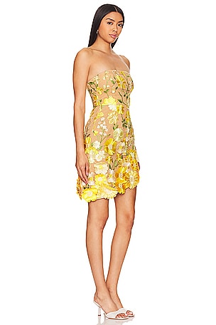 ELLIATT New Age Dress in Yellow