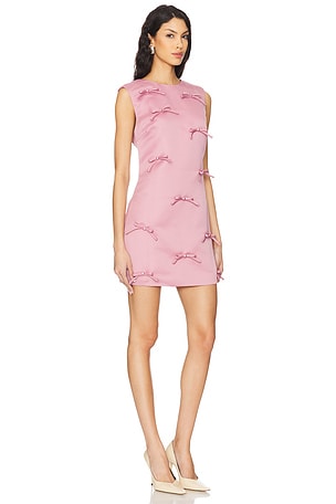 ELLIATT Rose Dress in Blush