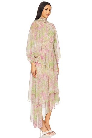 ELLIATT Morgan Maxi Dress in Pink