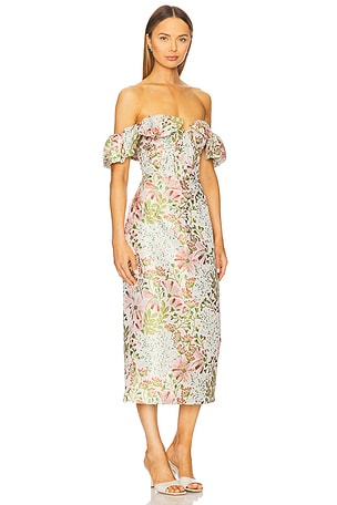 ELLIATT Calaantha Midi Dress in Blush, Green