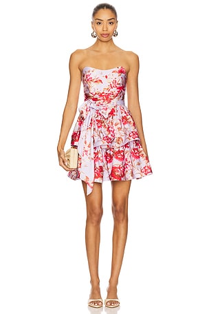 Elina Mini Dress ELLIATT