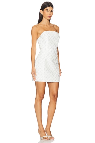 ELLIATT Lola Mini Dress in Ivory