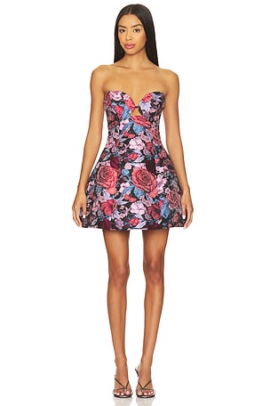 Delphine Tulip Mini Dress ELLIATT