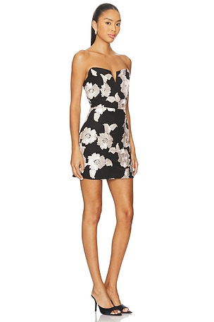 ELLIATT Margaux Mini Dress in Black