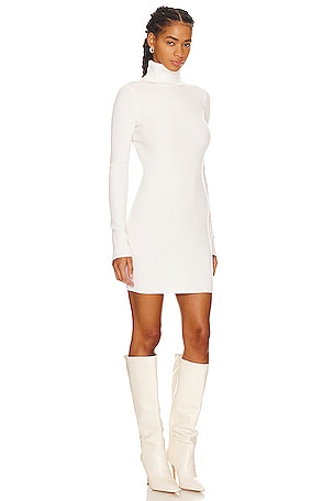 Enza Costa Rib Turtleneck Sweater Dress in Cream