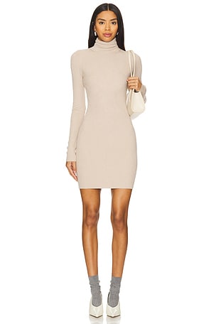 Silk Turtleneck Mini Dress Enza Costa