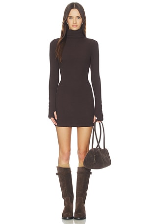 Knit Turtleneck Tunic Dress Enza Costa