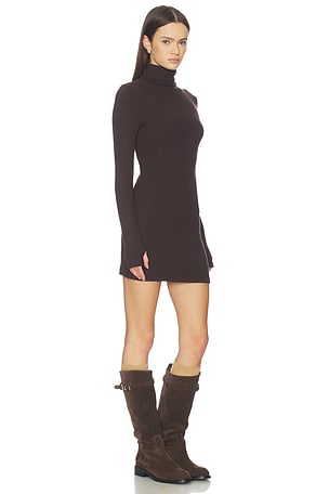 Enza Costa Knit Turtleneck Tunic Dress in Brown
