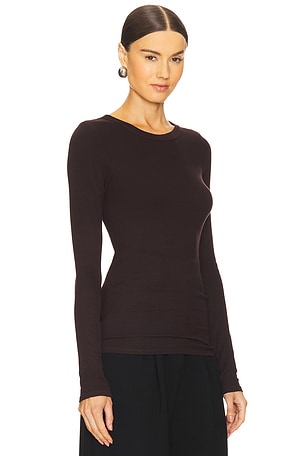 Enza Costa Silk Knit Long Sleeve Crew in Brown