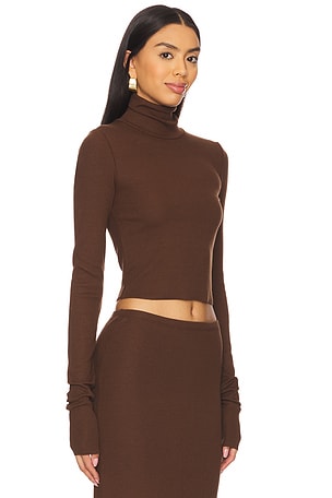 Eterne Cropped Fitted Turtleneck Top in Chocolate