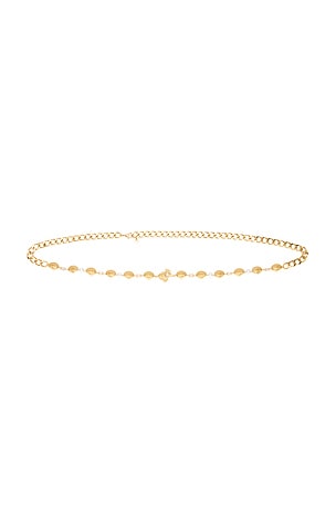 Shell Link Belt Ettika