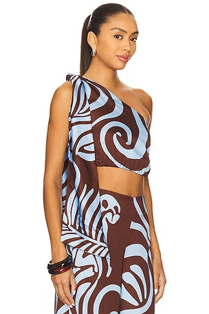 Eugenia Fernandez Dara Top in Brown