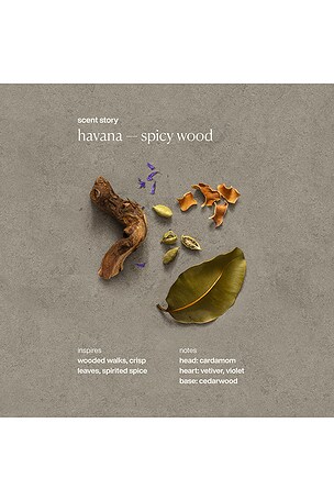 evolvetogether Nutrient-Rich Body Cream in Havana