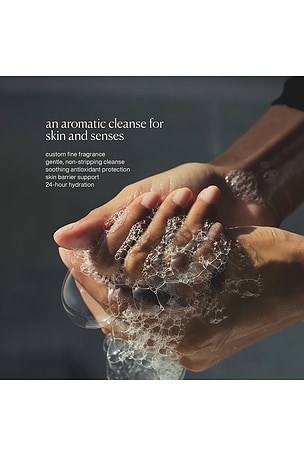 evolvetogether Restorative Hand Wash in Taormina