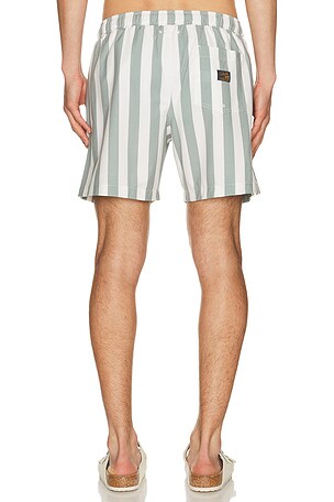 Faherty All Day 6 Swimtrunks in White,Sage