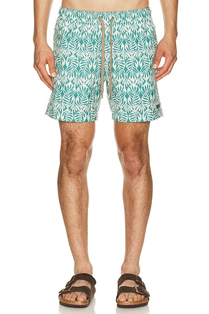 All Day 6" Swimtrunk Faherty