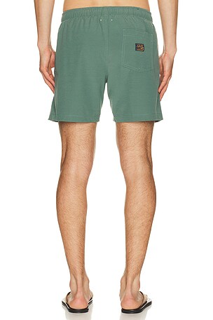Faherty All Day 6 Swimtrunk in Green