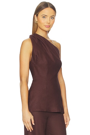 FAITHFULL THE BRAND Agua Top in Brown