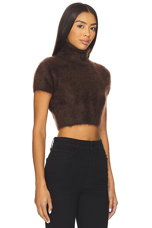 FRAME The Teddy Turtleneck in Brown