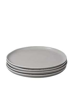 The Salad Plates Set of 4 Fable