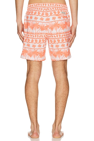 Fair Harbor MAILLOT DE BAen BAYBERRY en Orange