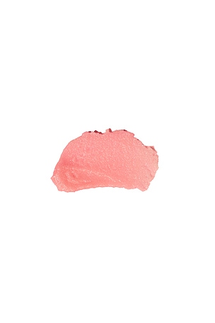 Frank body exfoliante y limpiador corporal Rosahip body scrub + cleanser 250g en color belleza: N/A