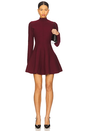 Long Sleeve Flared Corset Dress fleur du mal