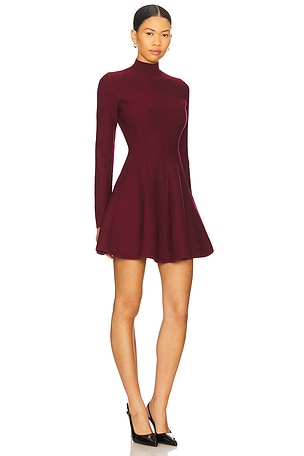 fleur du mal Long Sleeve Flared Corset Dress in Red