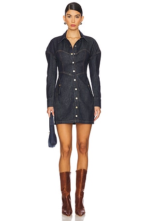 Denim Shirt Dress fleur du mal